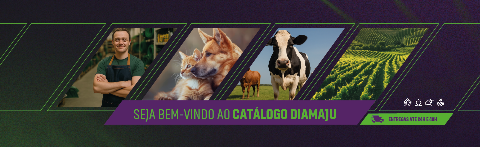 Senhor sorrindo com vacas ao lado